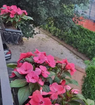 La Maison Rose *